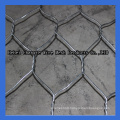 Galvanized Gabion Wire Mesh (CT-2)